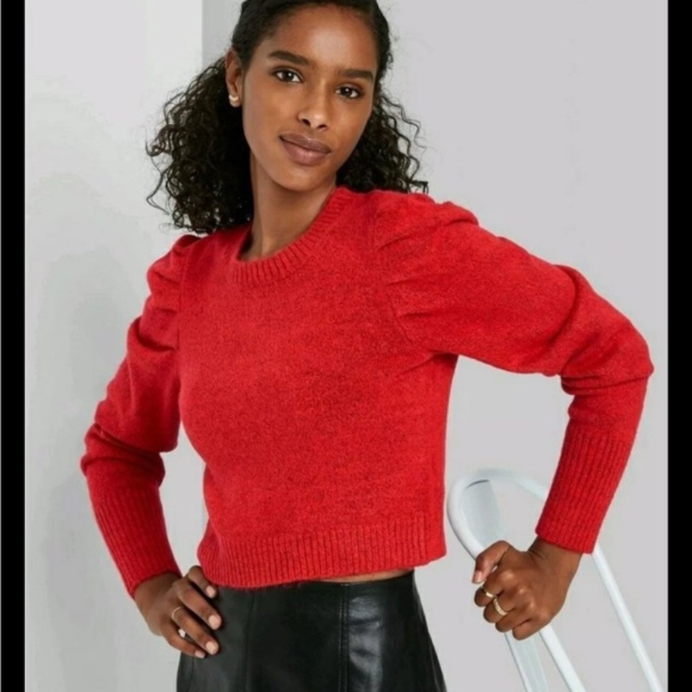Wild Fable Red Crew Neck Sweater